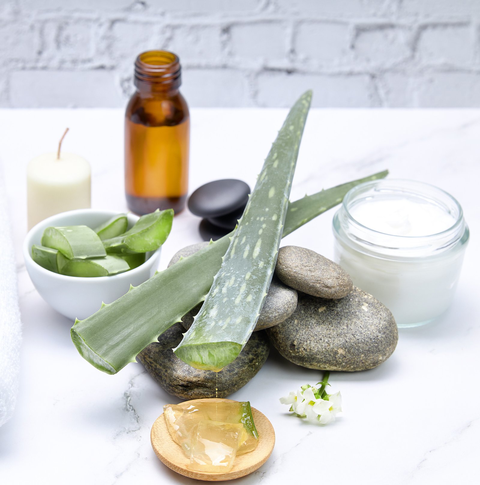 Aloe Vera Treatment